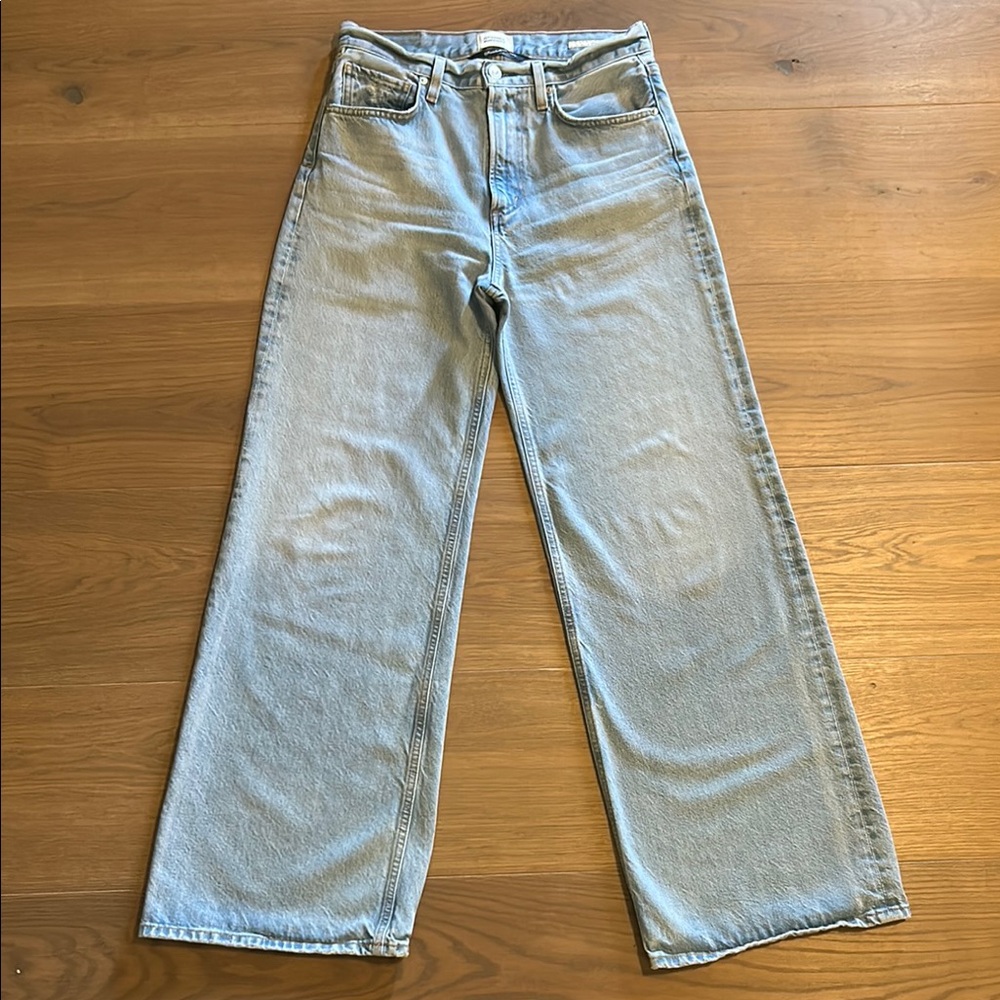 Citizens of Humanity Paloma Baggy in Alemayde